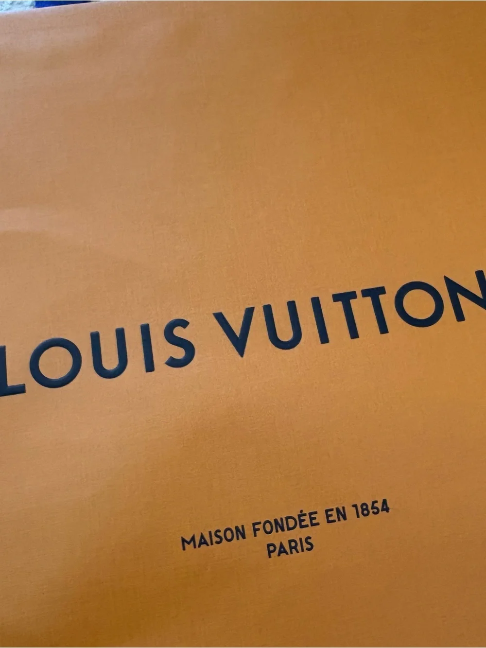 Louis Vuitton and Tiffany & Co. Shopping Gift Bags Set